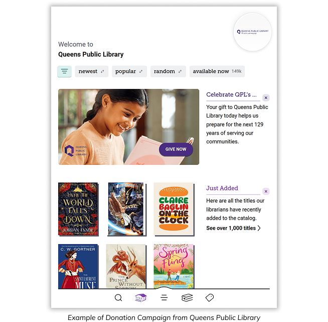 Example of Donation Campaign from Queens Public Library