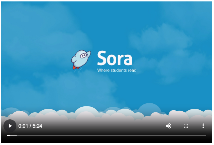 Intro to Sora Video