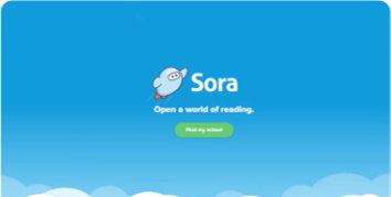Preview image for Getting Started with Sora resource