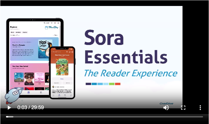 Sora Essentials Video